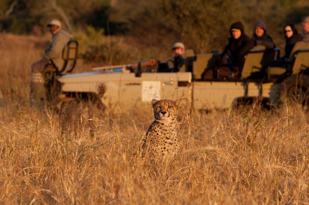 Amakhosi Safari Lodge and SPA