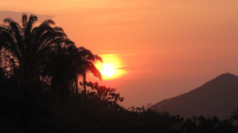 Sol de minca