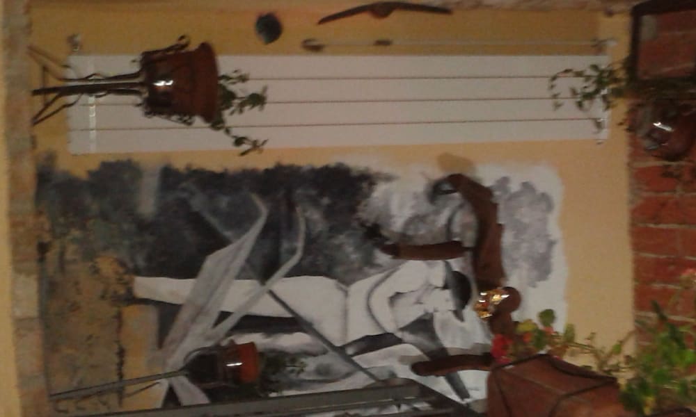 Agriturismo Schlin
