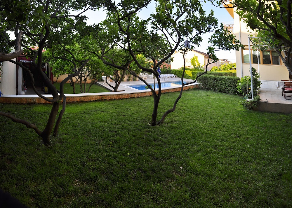 Photo 11