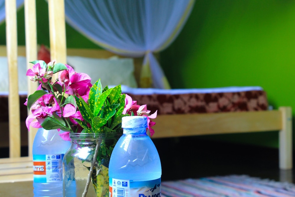 Cycad Entebbe Guest House view 3