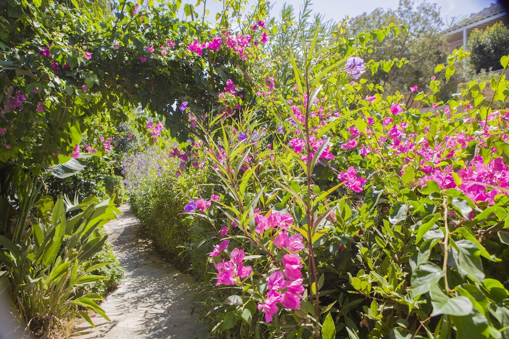 Spektr Boutique Hotel Yalıkavak - Image 73