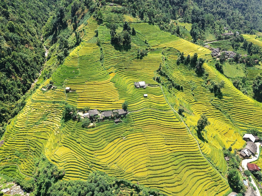 Pu Hmong Eco Retreat