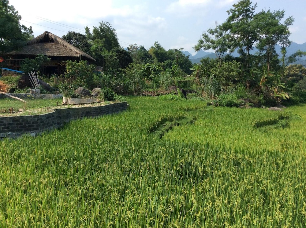 Dong Que Homestay-Tours-Motorbike, Car rental, Hiking