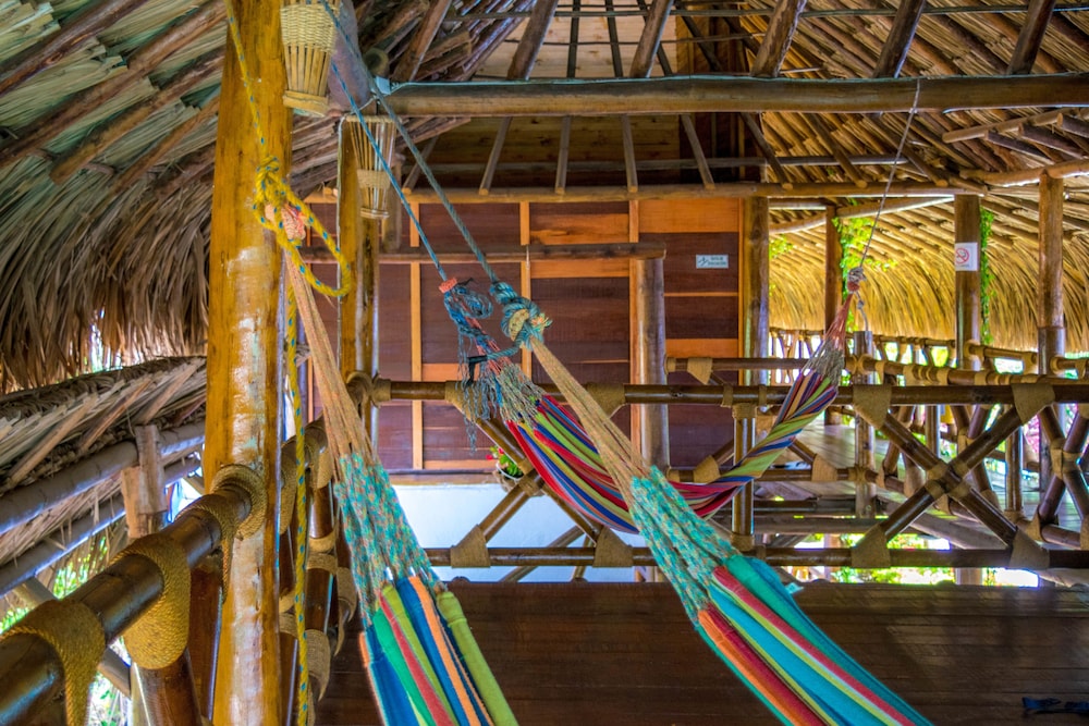 Prima Luna Palomino - Property Image 66