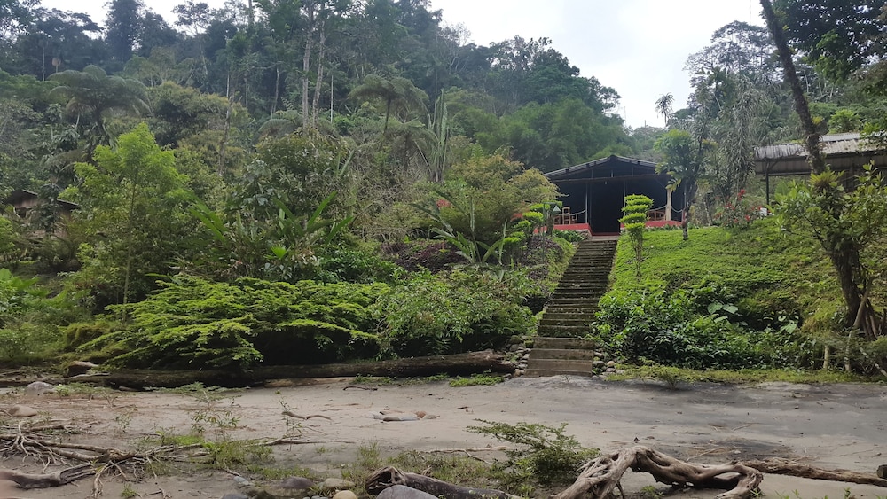 Playa Selva Lodge