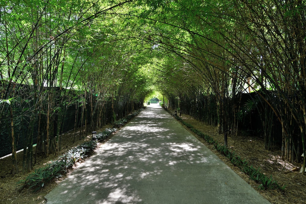 Twin Lotus Resort and Spa (Adult Only / November to April) view 2