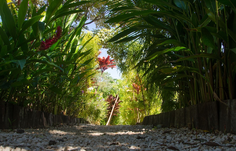 Flor y Bambu Hotel Glamping