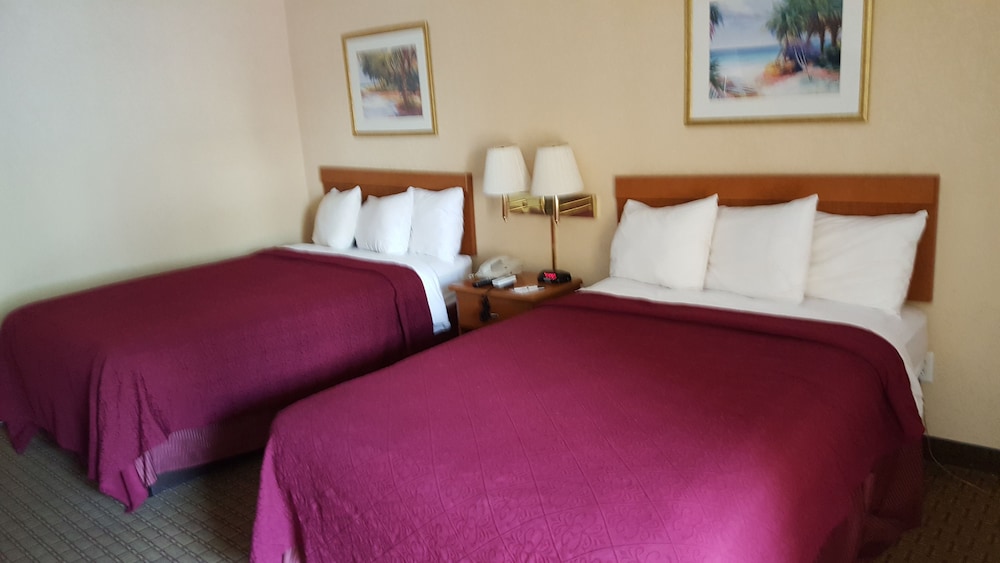 Tampa Vacations - Econo Lodge Busch Gardens - Property Image 50