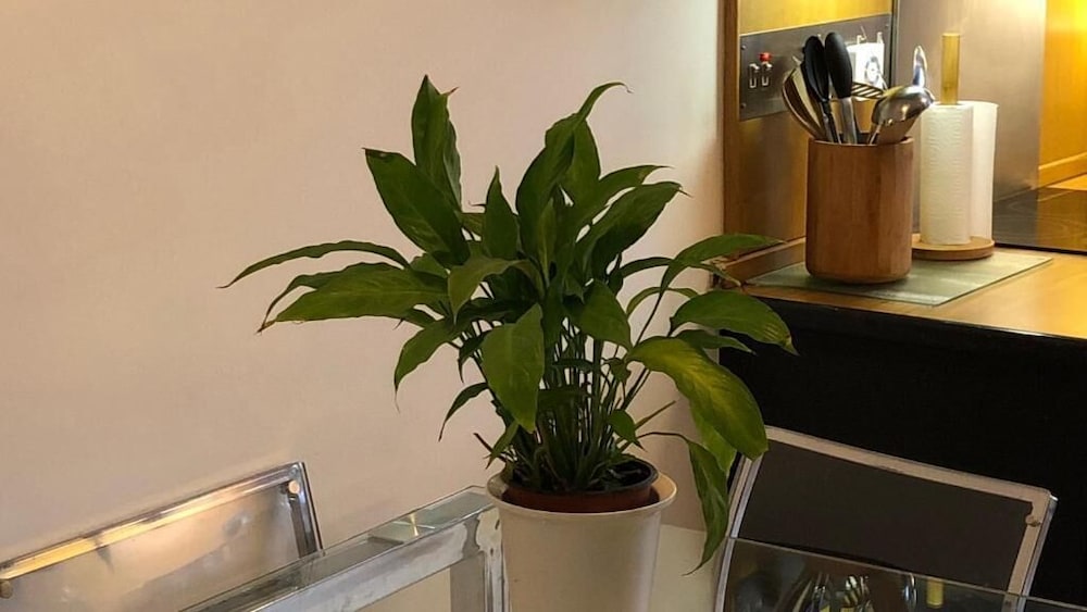 Mayfair Piccadilly Apartment