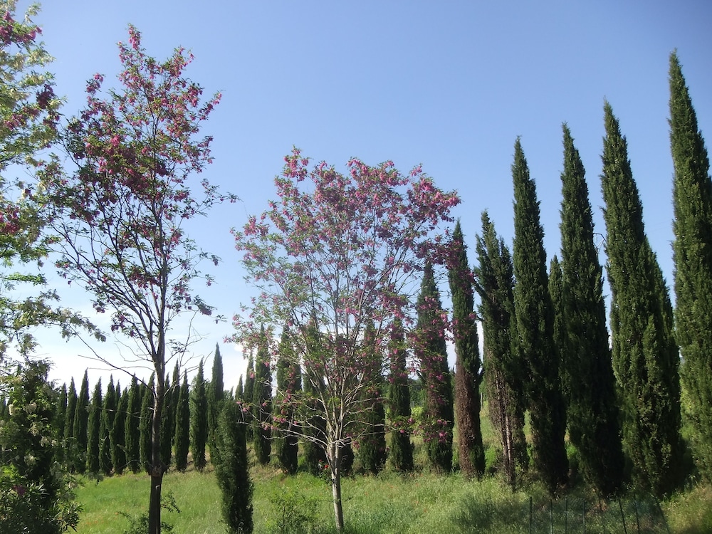 Tenuta Le Colonie