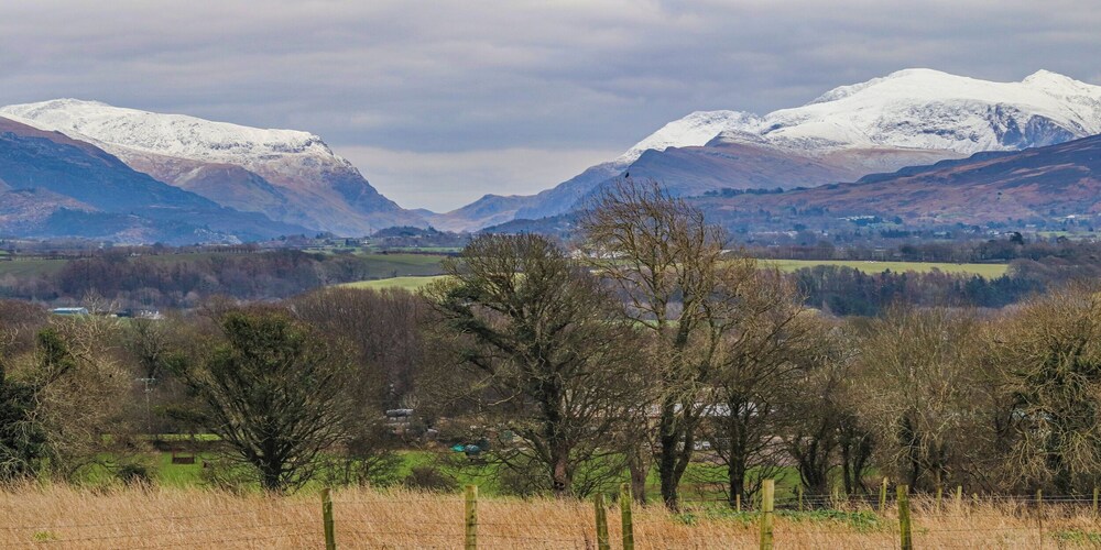 Cae Ffynnon