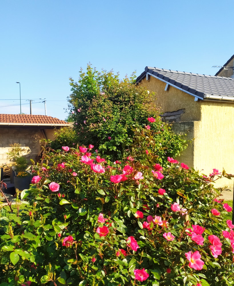 Photo 42