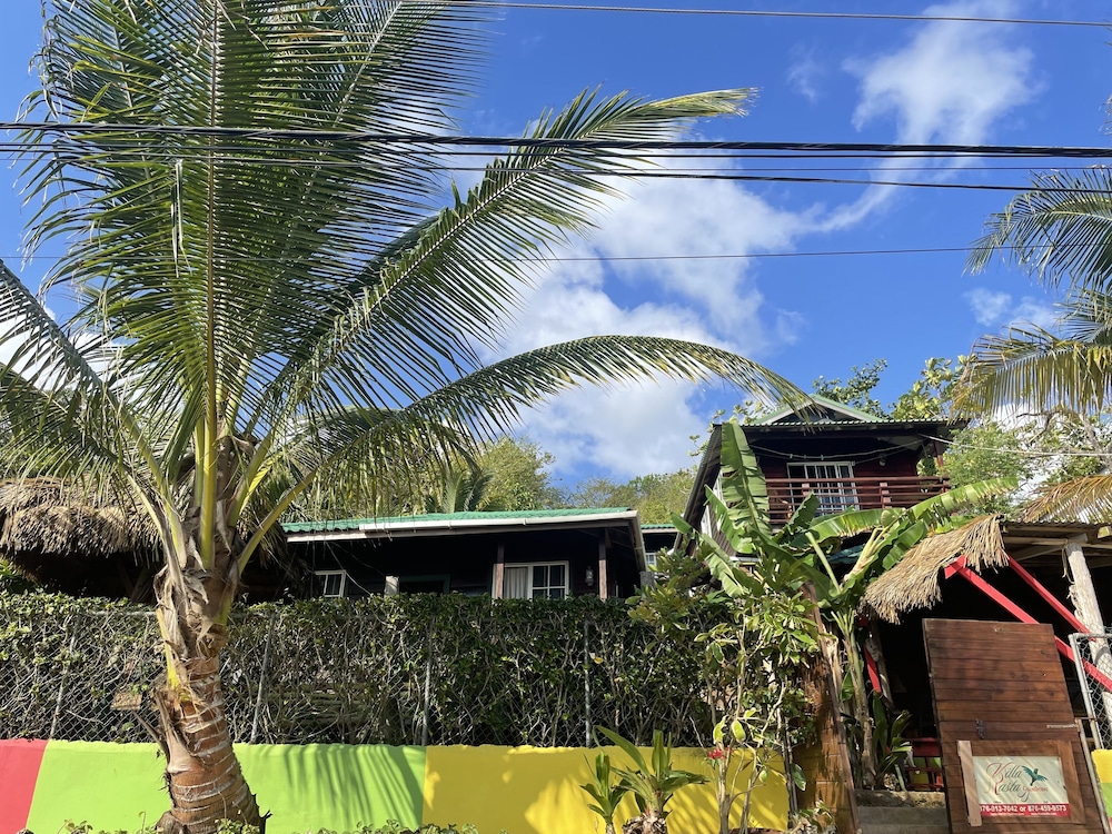 Photo 18