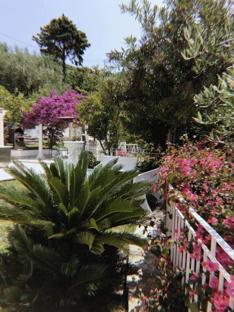 Il Paradiso di Hyele