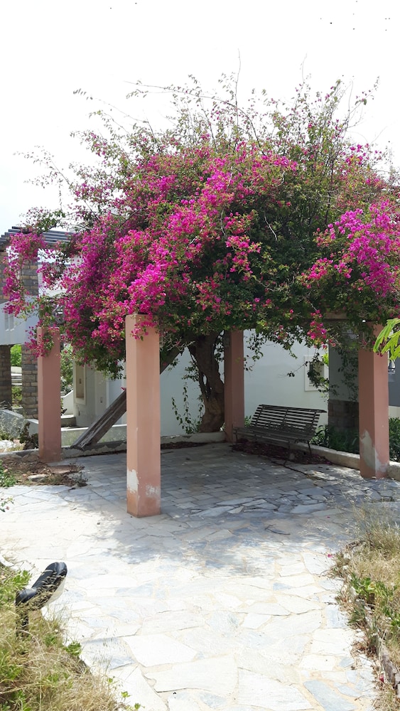 Dionysos Authentic Resort & Village