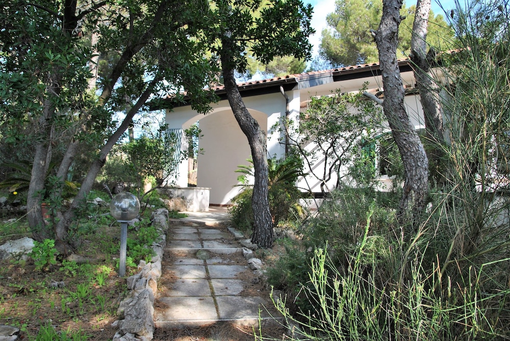 Photo 14