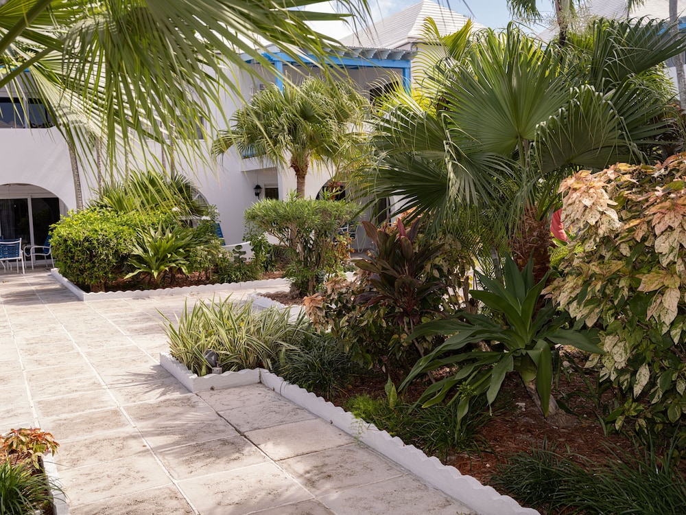 Paradise Island Beach Club