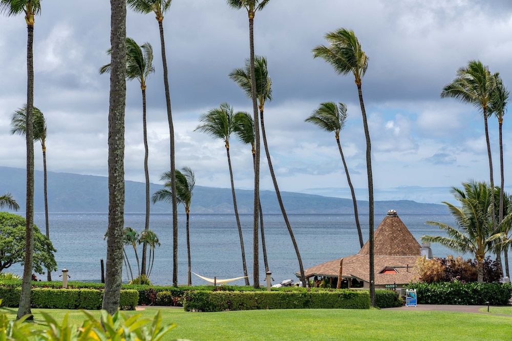 Napili Shores A106 0 Bedroom Condo by RedAwning