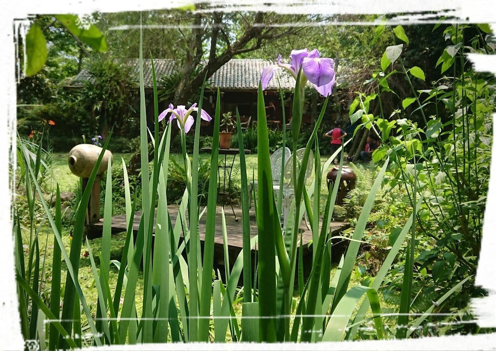 Flower and Green Collection