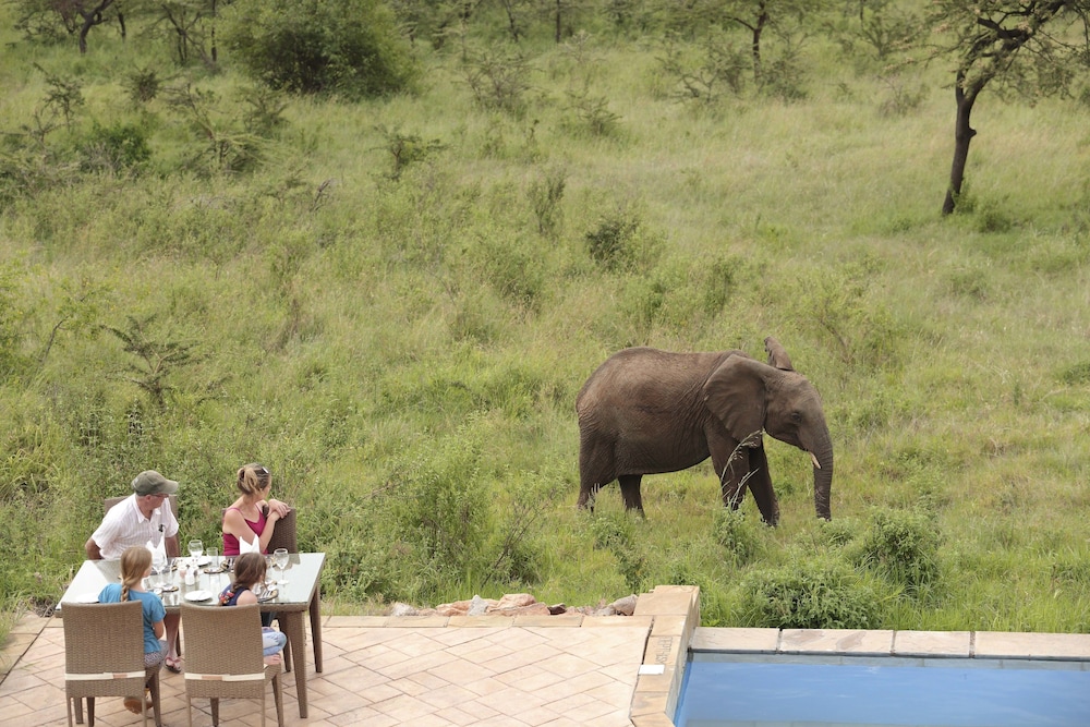 Spirit Of The Masai Mara