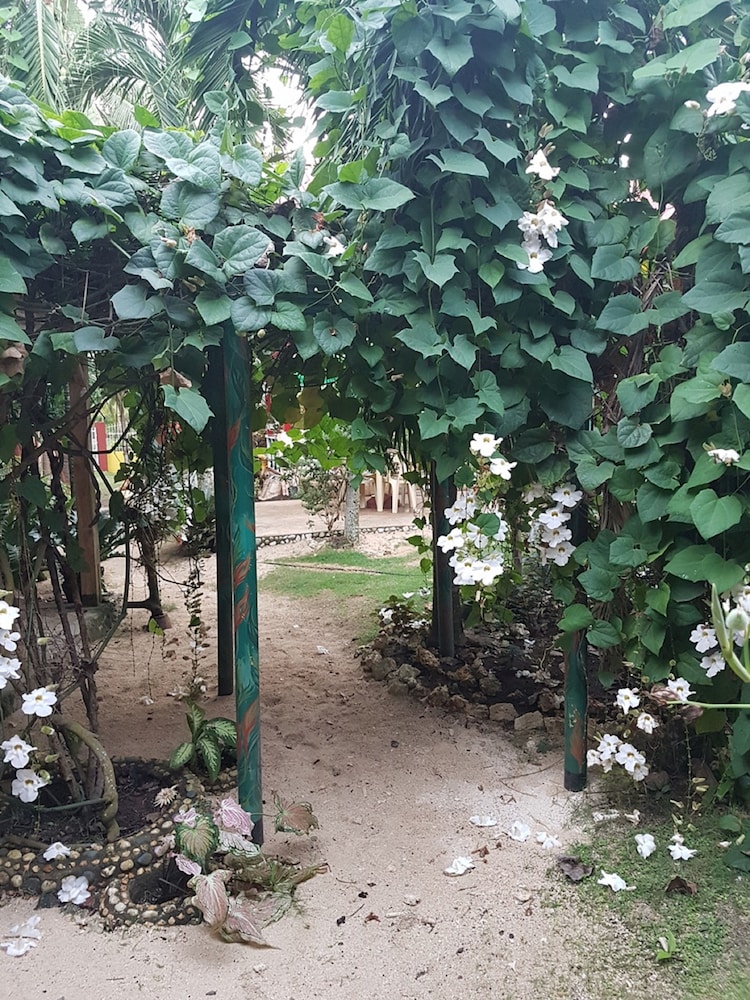 Travillehuts Palm Beach Inn