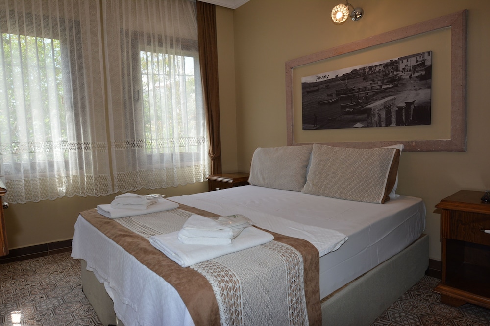 Hayriye Hanim Ege - Image 7
