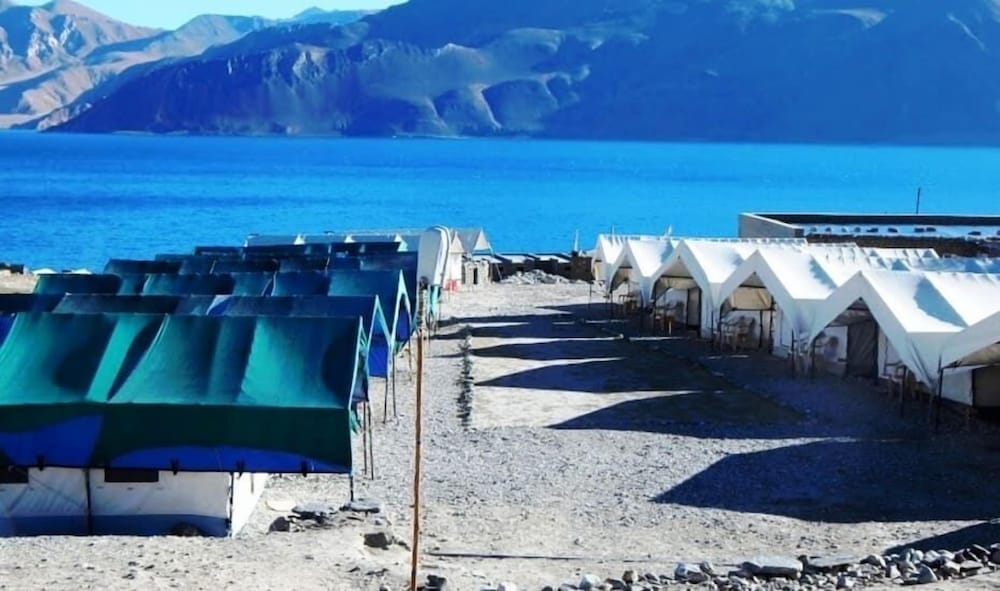 Wonderland Camps