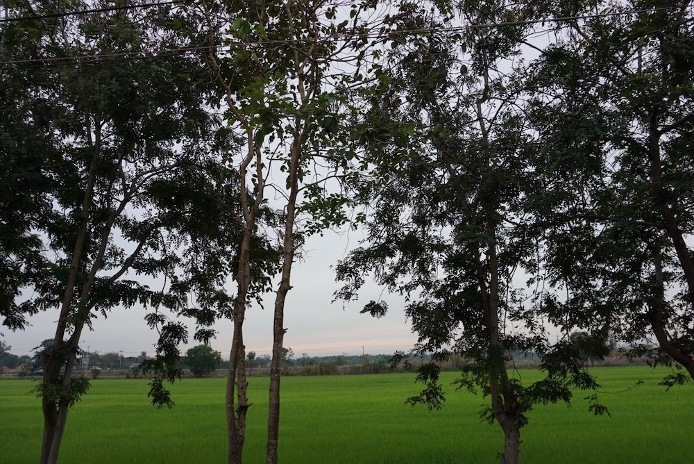 Photo 33