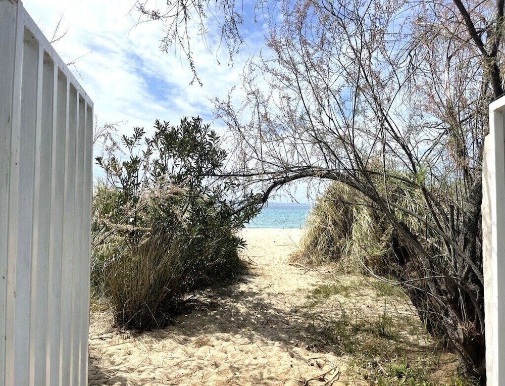 Photo 31