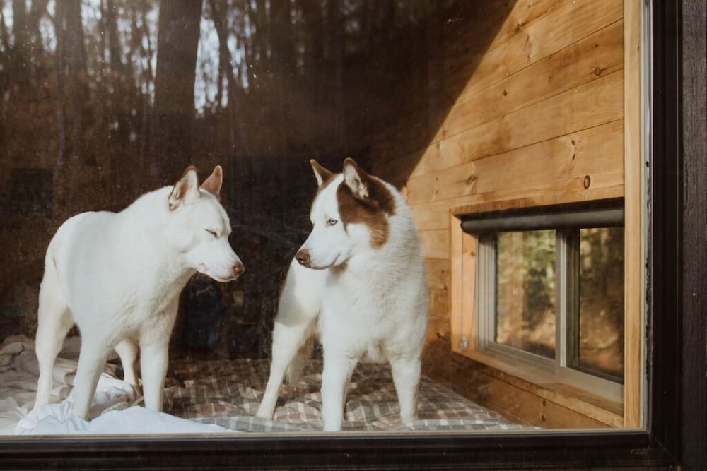 Postcard Cabins Chattahoochee, Outdoor Collection by Marriott Bonvoy
