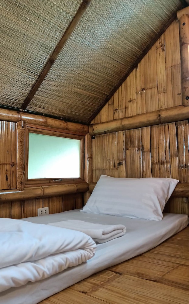 Bamboo Conservation Farm