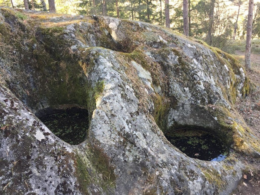 Photo 19