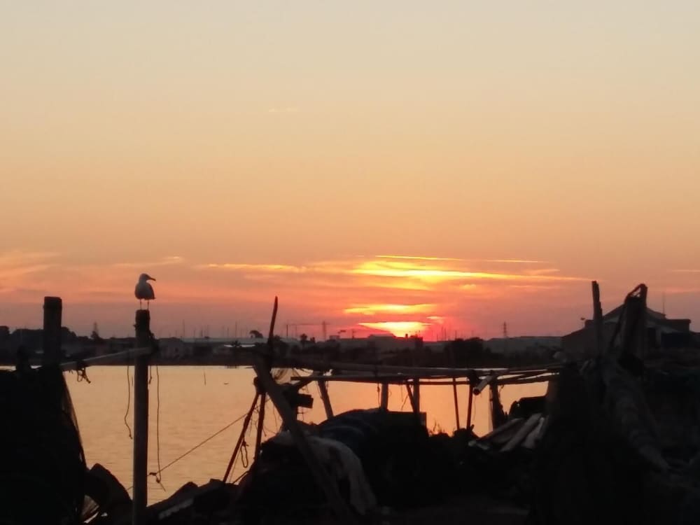 La Cabane d'Isa en Sète