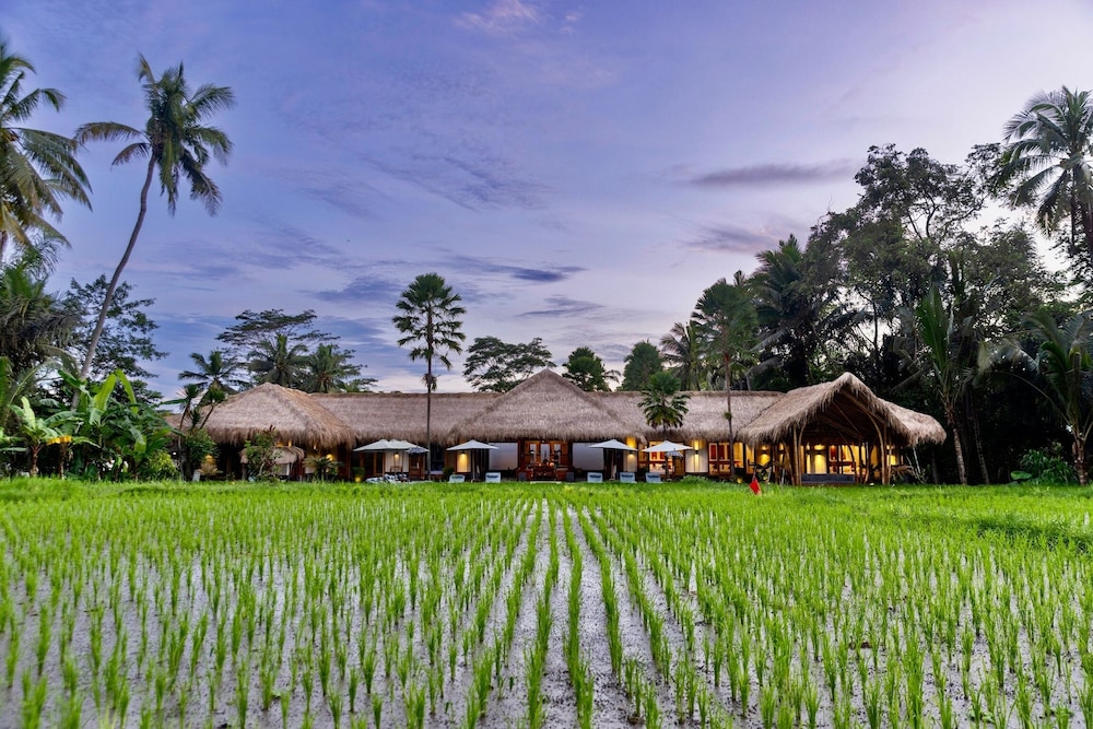 Villa Jepun