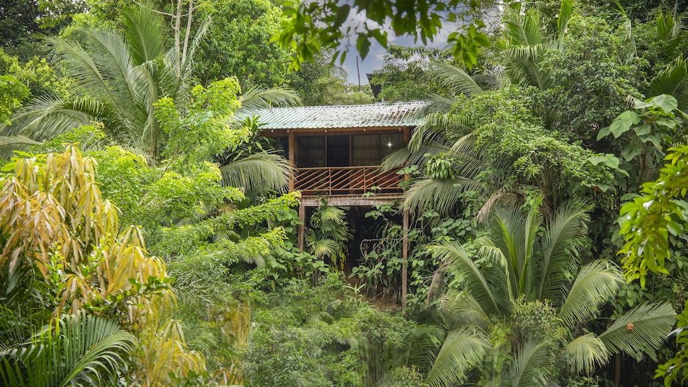 Cabañas del Lago