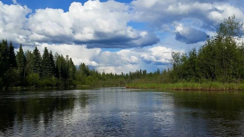 Alaska Haven - Property Image 20