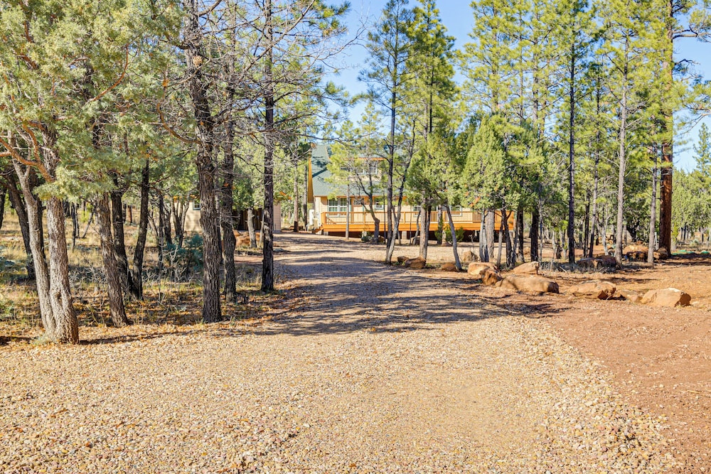 Pet-friendly Blue Ridge Cabin: Wraparound Deck!