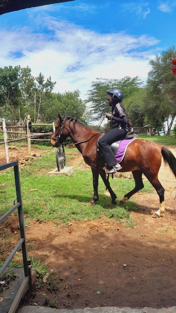 Lemon Valley Farm Elmenteita