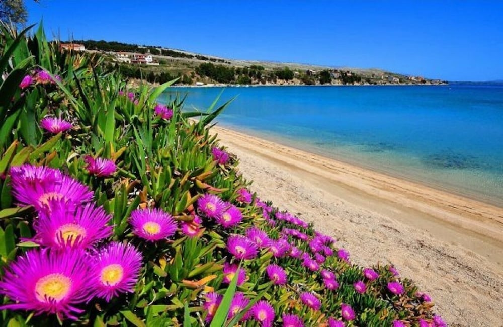 Ana - Great Location, Near the Beach - A2 view 2