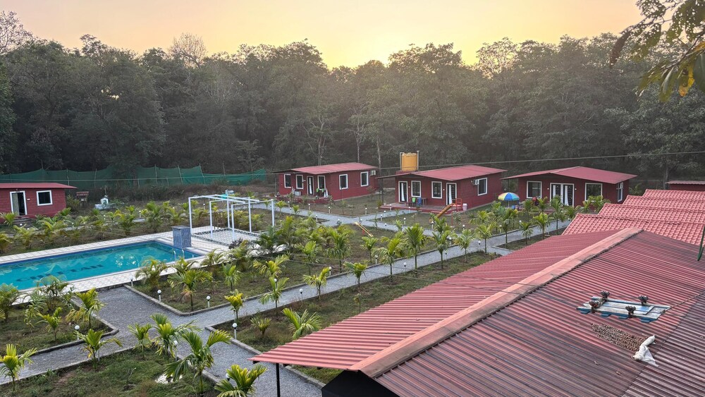 Cheetah Farms Jungle Stay