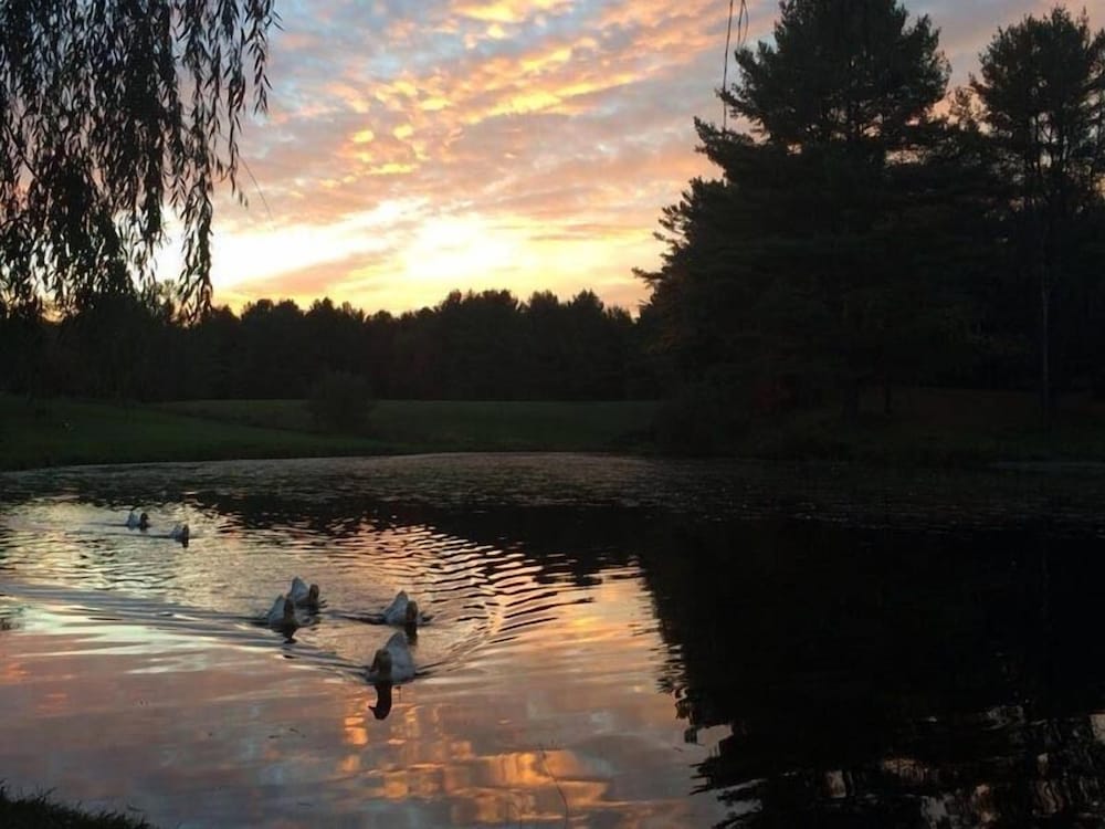 Greenville Vacations - Baumann's Brookside Resort - Property Image 7