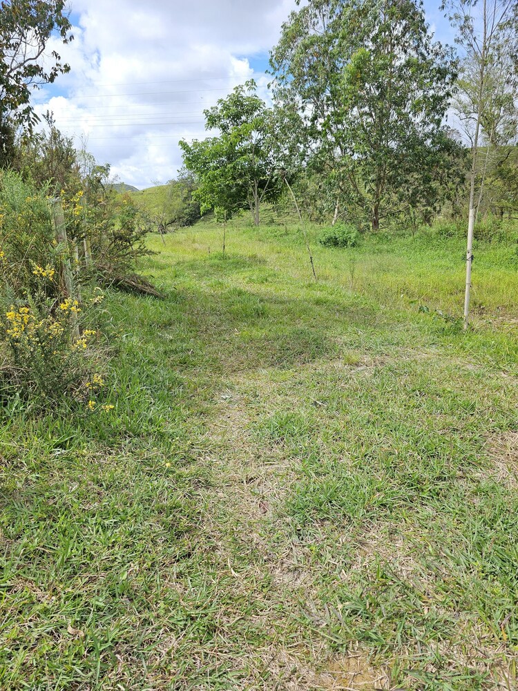 Photo 30
