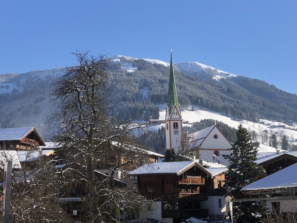 Alpbach Bergwald