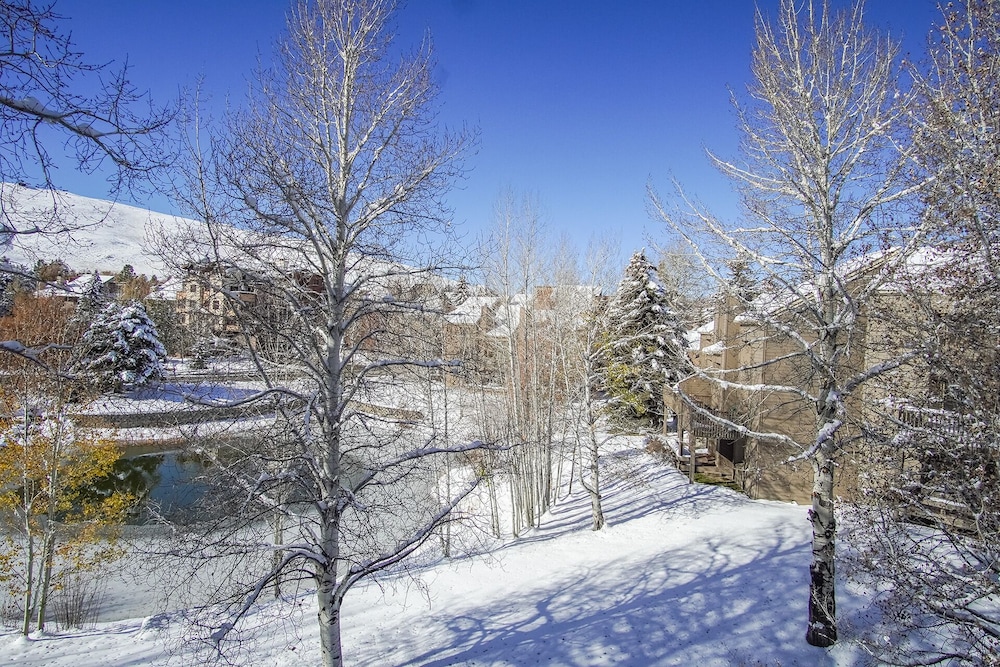 Bonne Vie 2247 Sunny & Spacious 4 Bedroom Condo in the Heart of Elkhorn Village