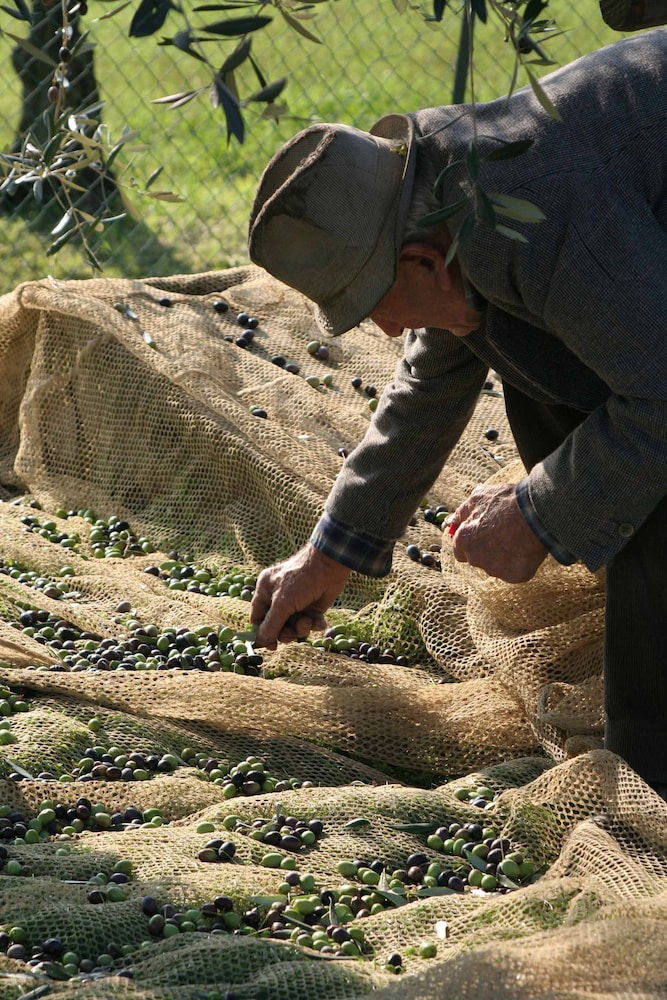 Agriturismo Le Ceregne bio