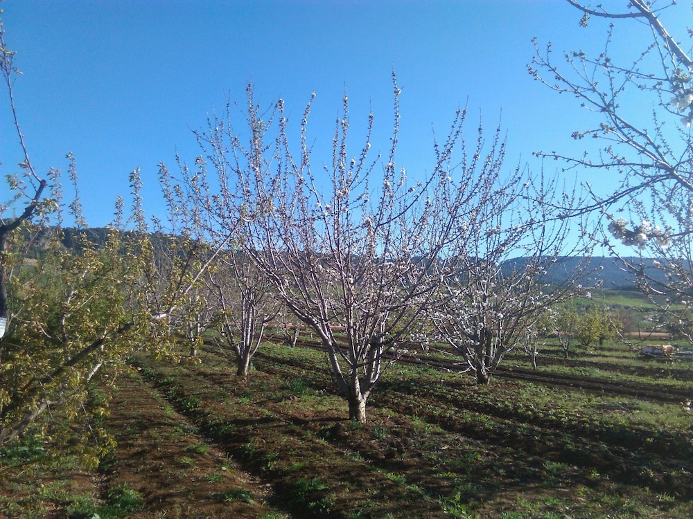 Les Jardins D'Azrou