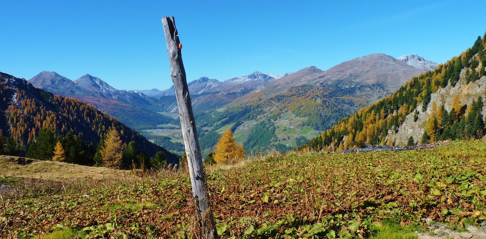Villa Stelvio Bed & Breakfast