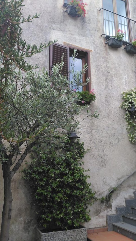 Photo 51