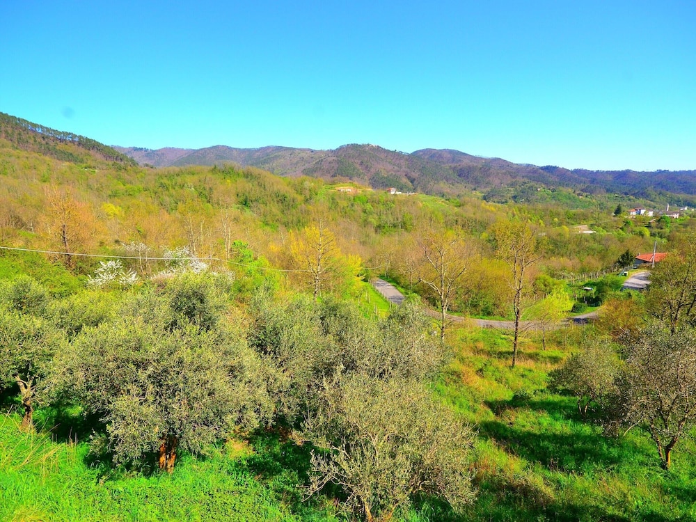 Rustic Cottage Charm in Liguria